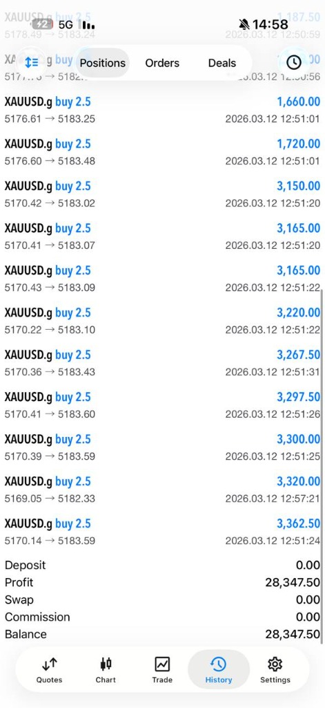 Successful trade result 4